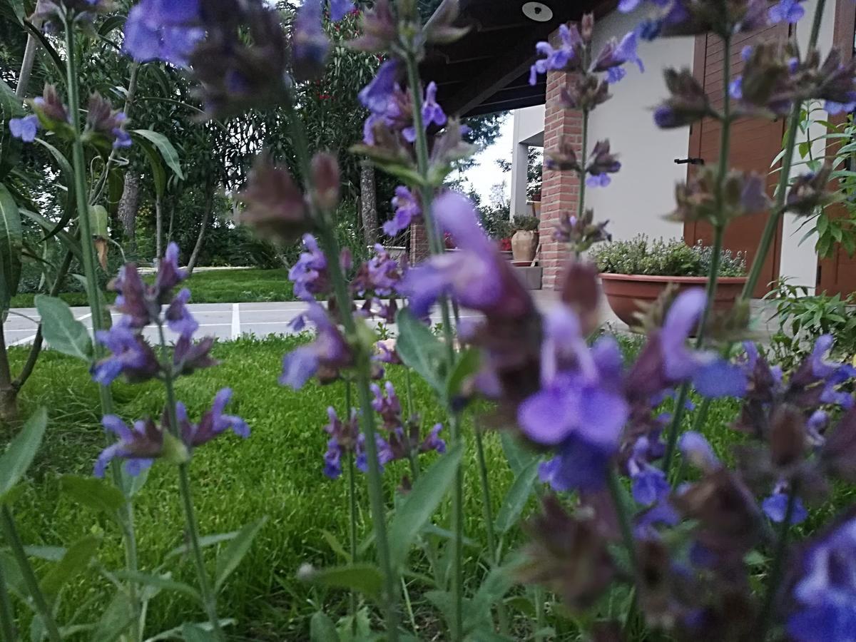 Country House Corte Antica Roseto Degli Abruzzi Esterno foto