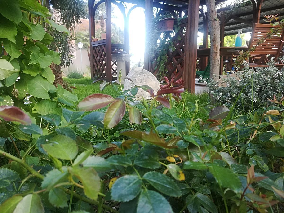 Country House Corte Antica Roseto Degli Abruzzi Esterno foto